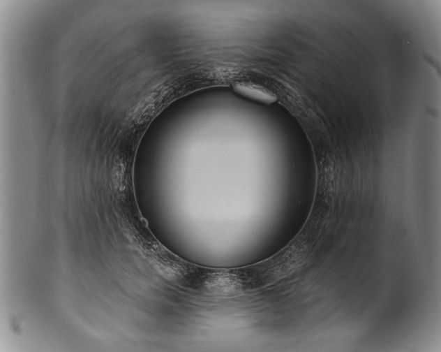 X0000101110750200806261412