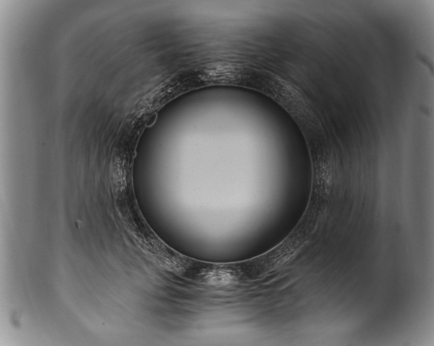X0000101110751200806261412
