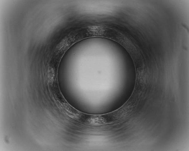 X0000101110752200806261412