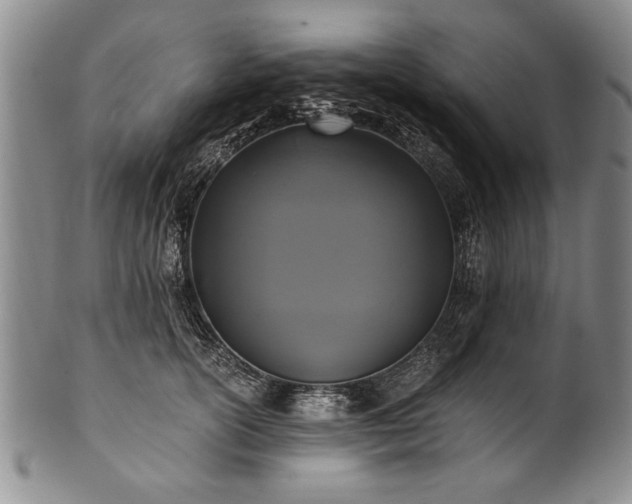 X0000101110754200806261412