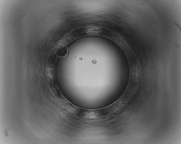 X0000101110755200806261412