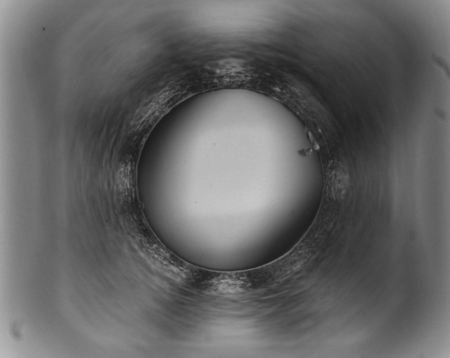 X0000101110756200806261412