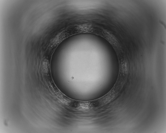 X0000101110757200806261412