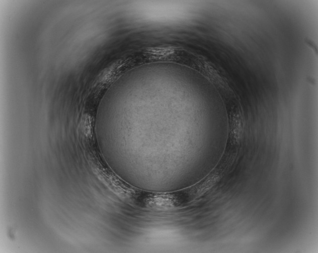 X0000101110758200806261412