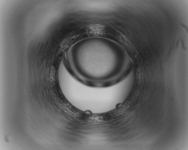 X0000101110760200806261412