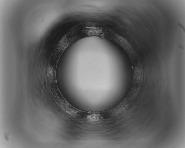 X0000101110761200806261412
