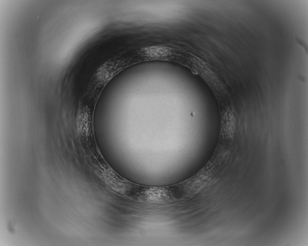 X0000101110762200806261412