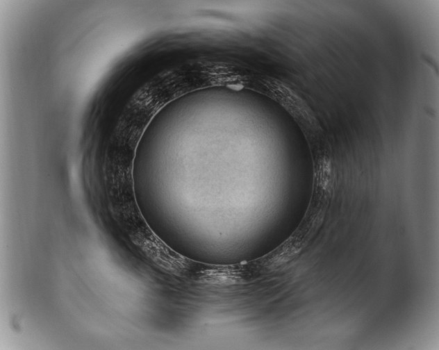 X0000101110763200806261412