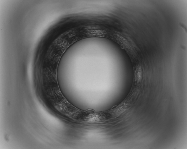 X0000101110764200806261412