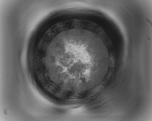 X0000101110765200806261412