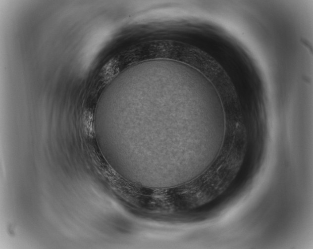 X0000101110766200806261412