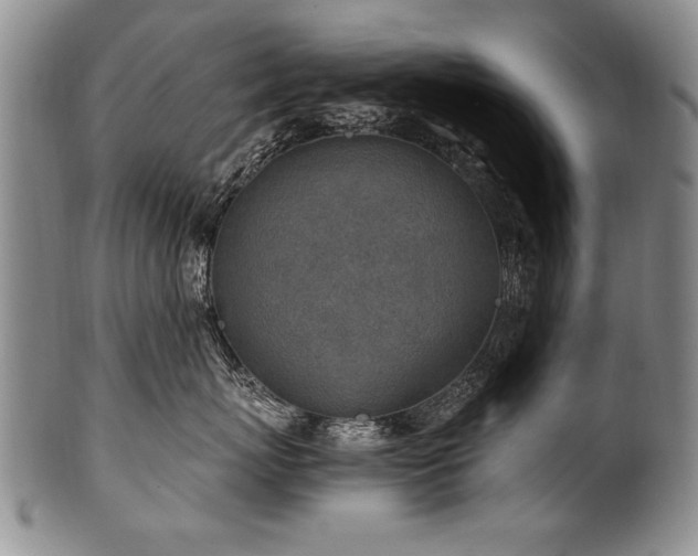 X0000101110767200806261412