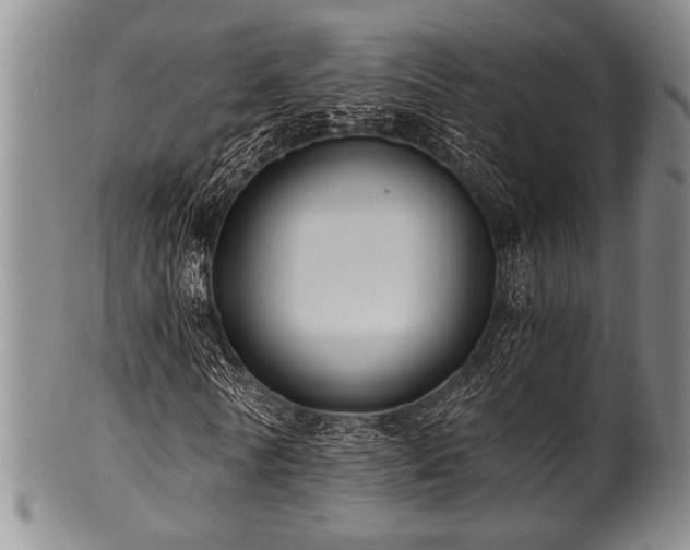 X0000101110770200806261412