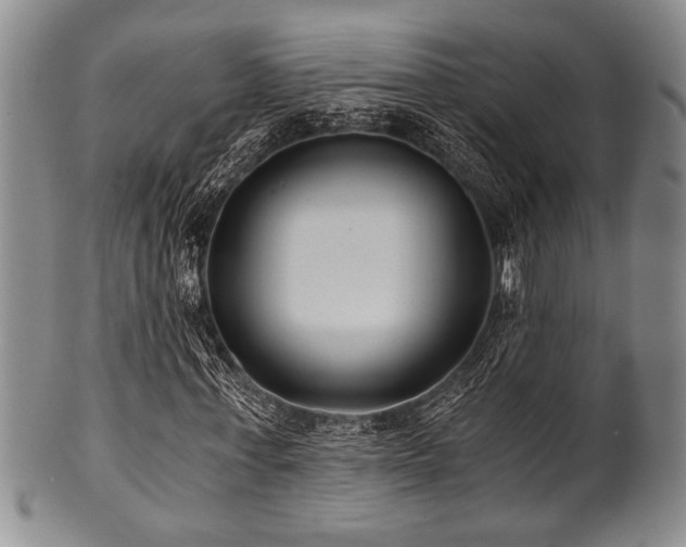 X0000101110771200806261412