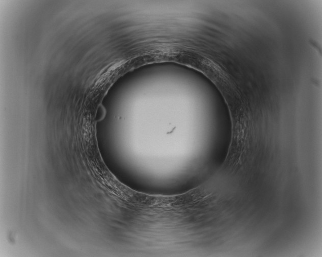 X0000101110773200806261412