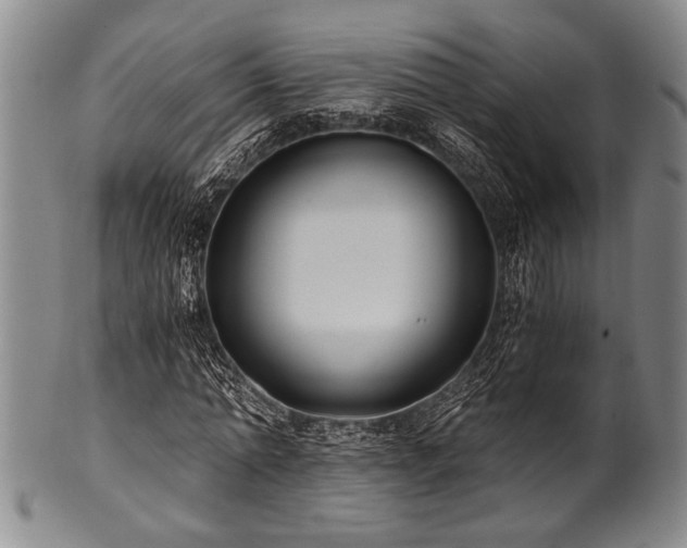 X0000101110774200806261412