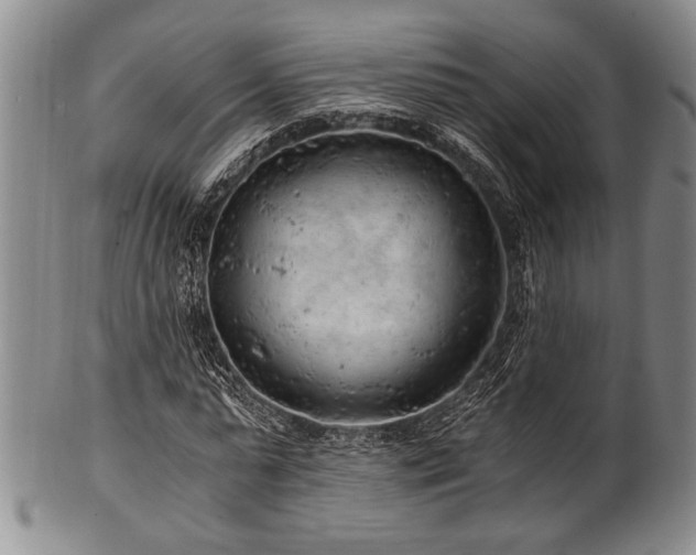 X0000101110775200806261412