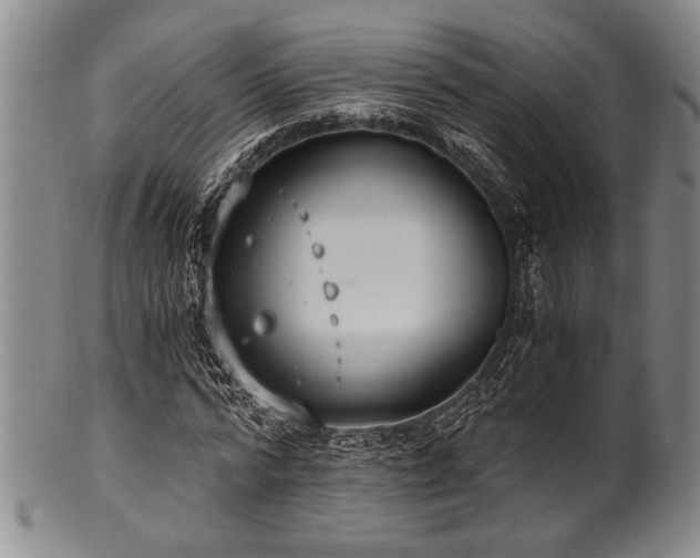 X0000101110776200806261412