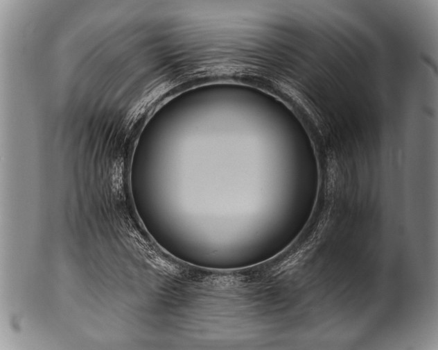 X0000101110778200806261411