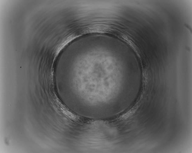 X0000101110779200806261411