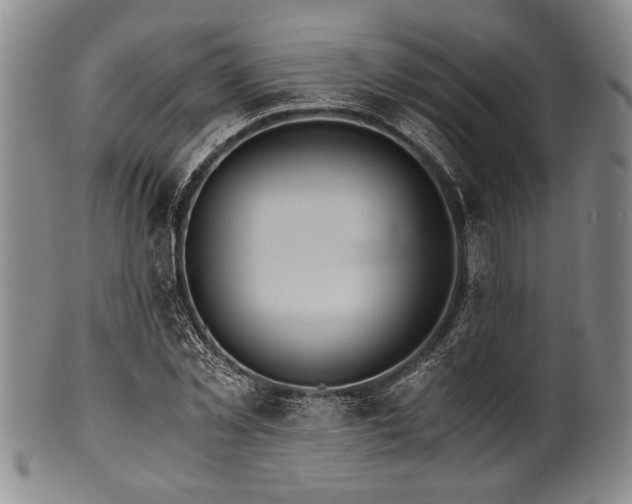 X0000101110781200806261411