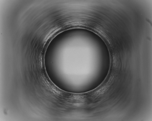 X0000101110782200806261411