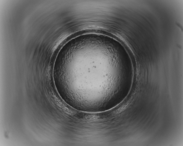 X0000101110783200806261411