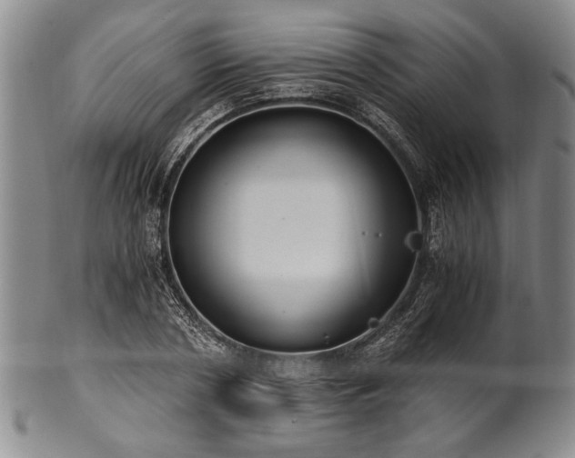 X0000101110786200806261411