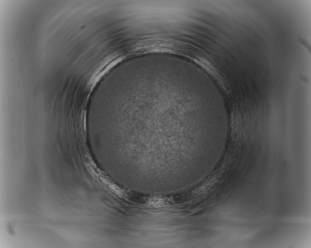 X0000101110790200806261411