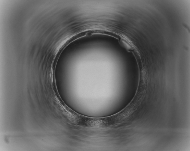 X0000101110791200806261411