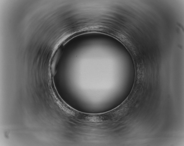 X0000101110792200806261411