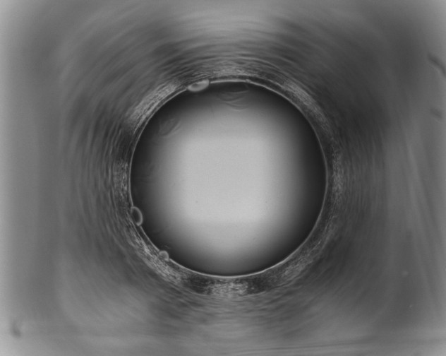 X0000101110793200806261411