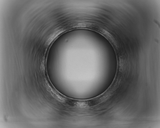 X0000101110794200806261411