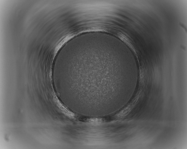 X0000101110797200806261411