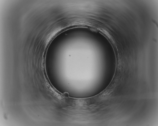 X0000101110799200806261411