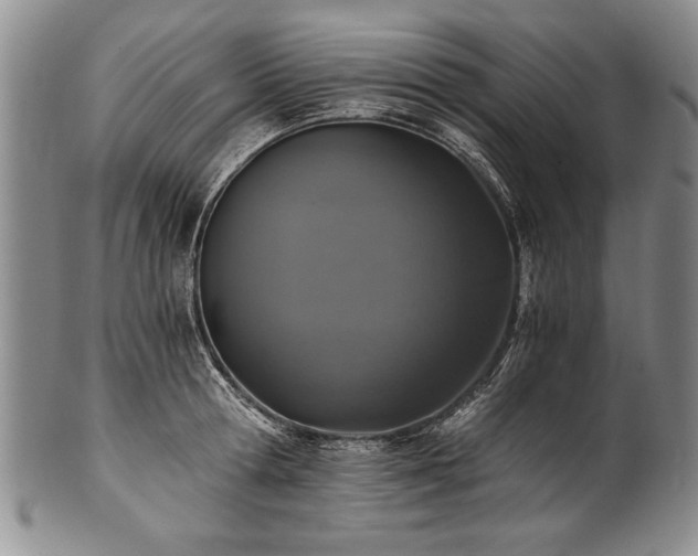 X0000101110802200806261411
