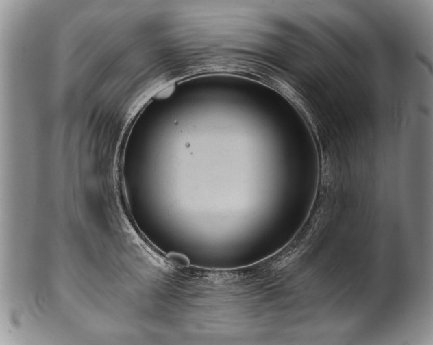 X0000101110803200806261411