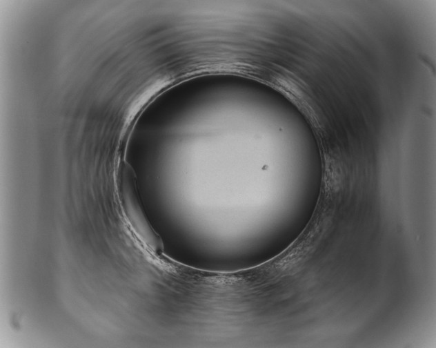 X0000101110804200806261411