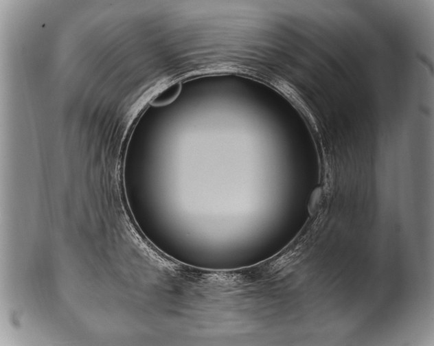X0000101110805200806261411