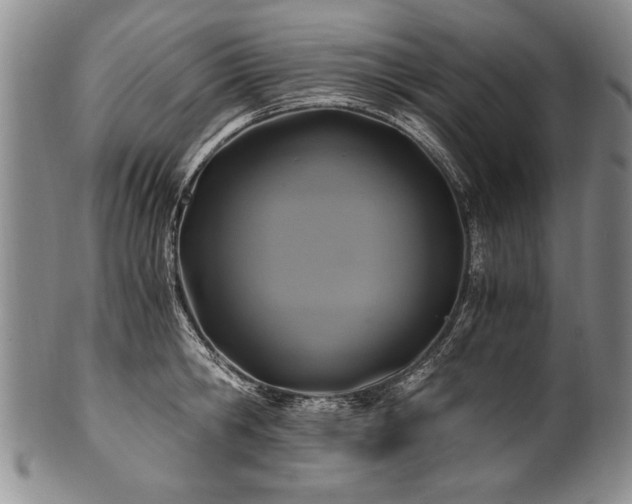 X0000101110806200806261411
