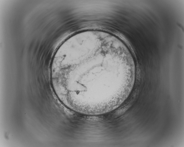X0000101110807200806261411