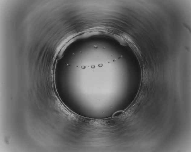 X0000101110808200806261411