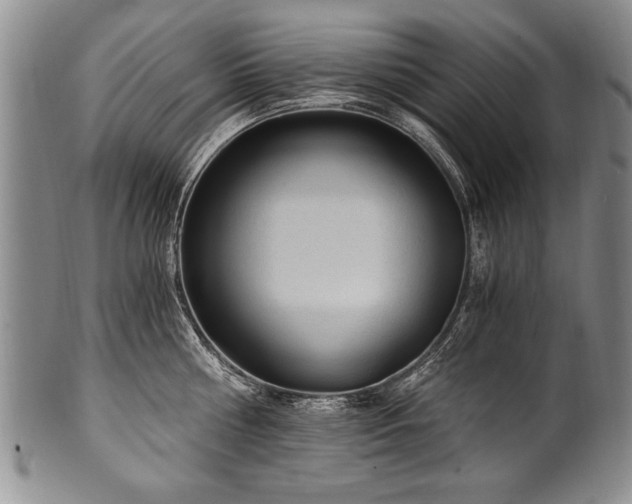 X0000101110810200806261411
