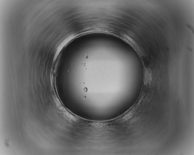 X0000101110812200806261411