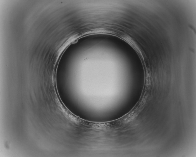 X0000101110813200806261411
