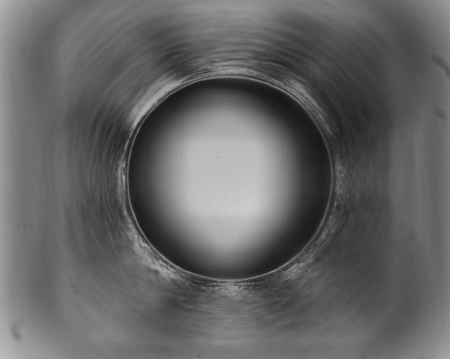 X0000101110814200806261411