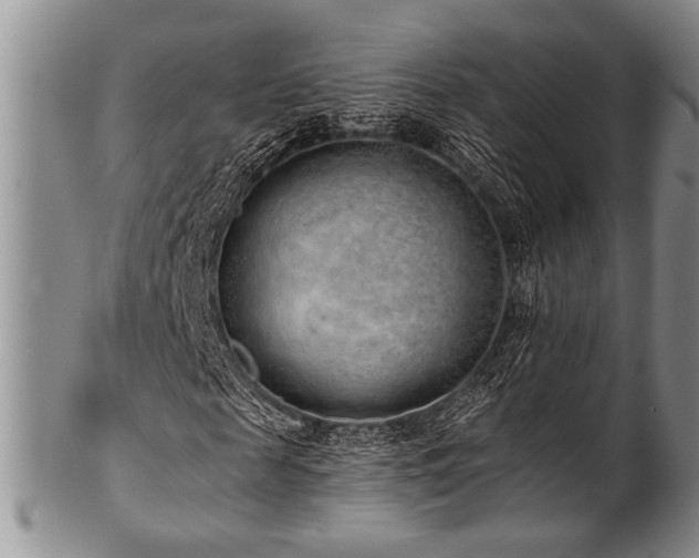 X0000101110817200806261410