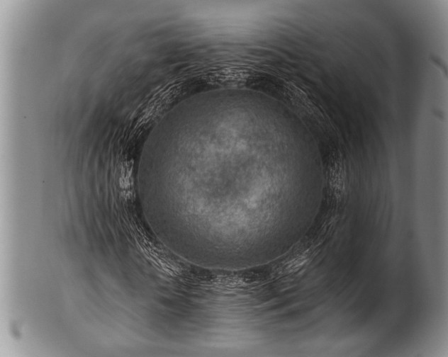 X0000101110818200806261410
