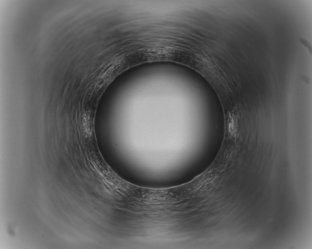 X0000101110819200806261410