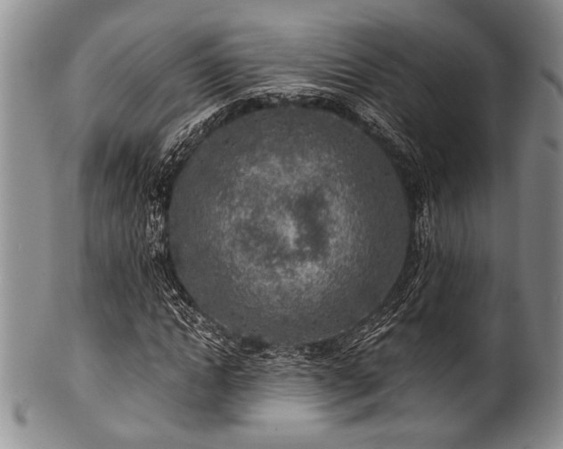 X0000101110822200806261410